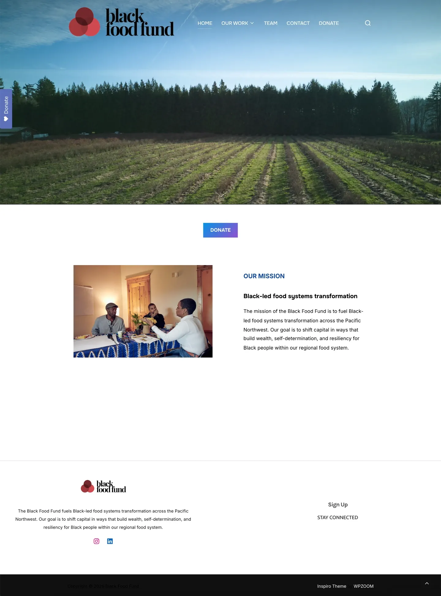 The Black Food Fund website before the redesign, full page.