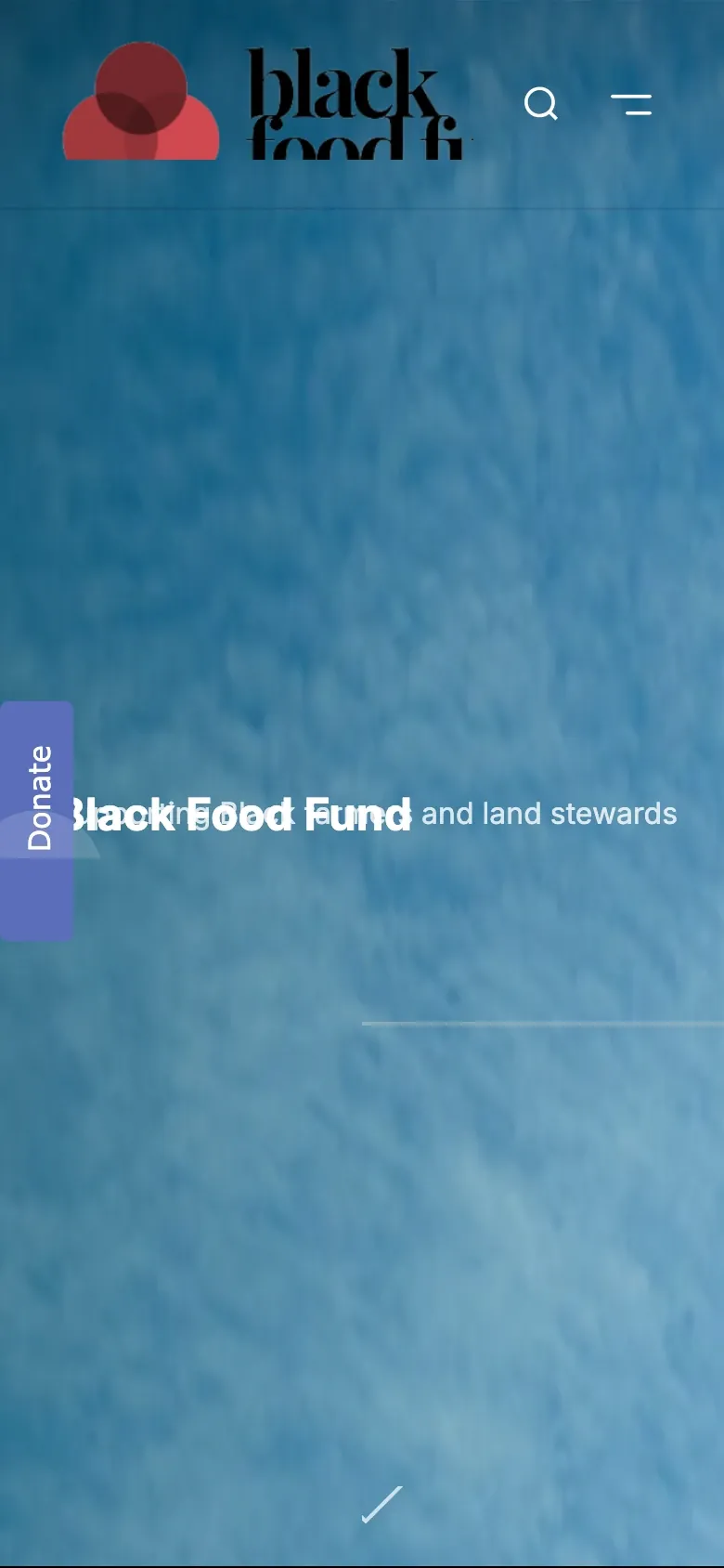 The Black Food Fund website before the redesign, on a phone.